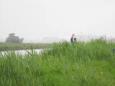 Gorredijk   Hooivaart 033