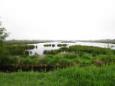 Gorredijk   Hooivaart 034