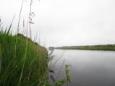 Gorredijk   Hooivaart 051