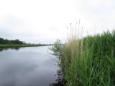 Gorredijk   Hooivaart 053